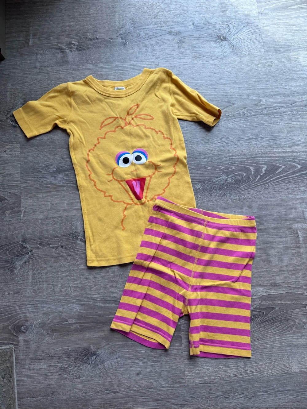 Hanna Andersson Big Bird Pajamas